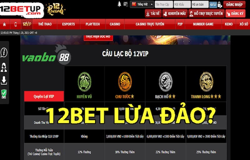 12Bet lừa đảo có phải là sự thật