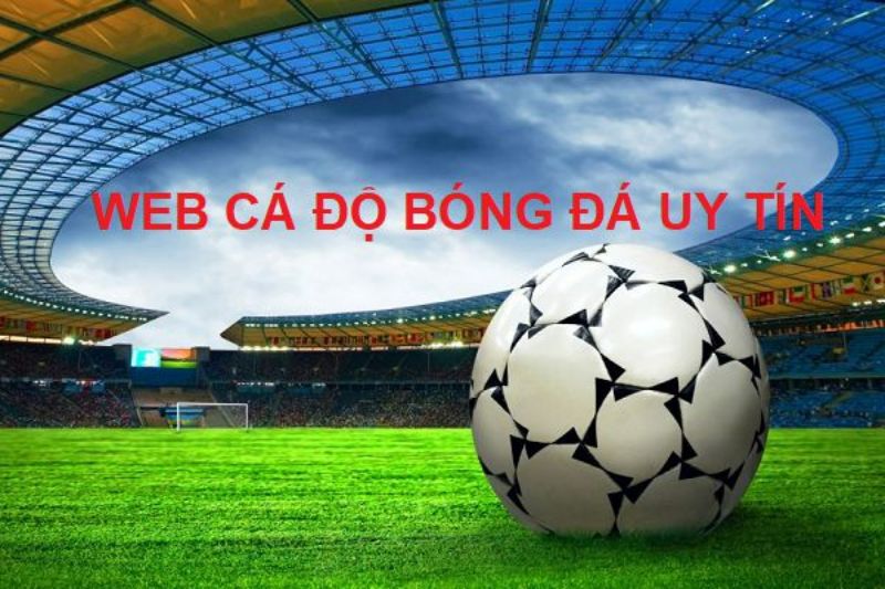 Web cá độ bóng đá là gì?