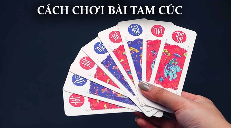 Bài Tam Cúc được nhiều người yêu thích